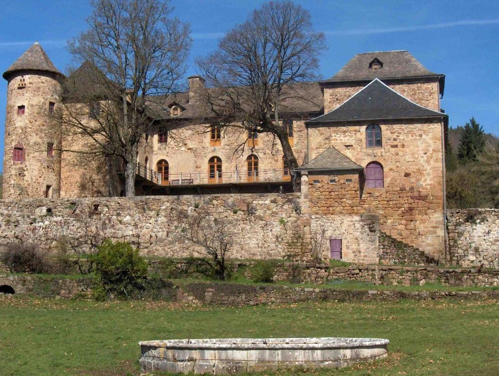 Château de Salelles Banassac Exterior foto