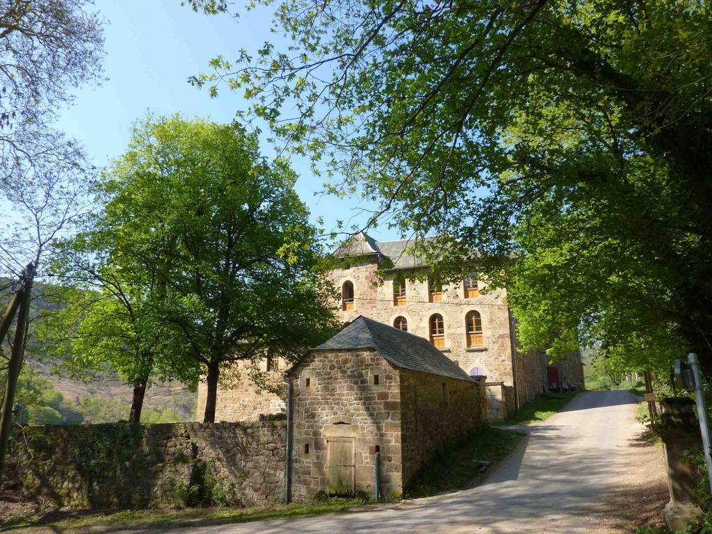 Château de Salelles Banassac Exterior foto