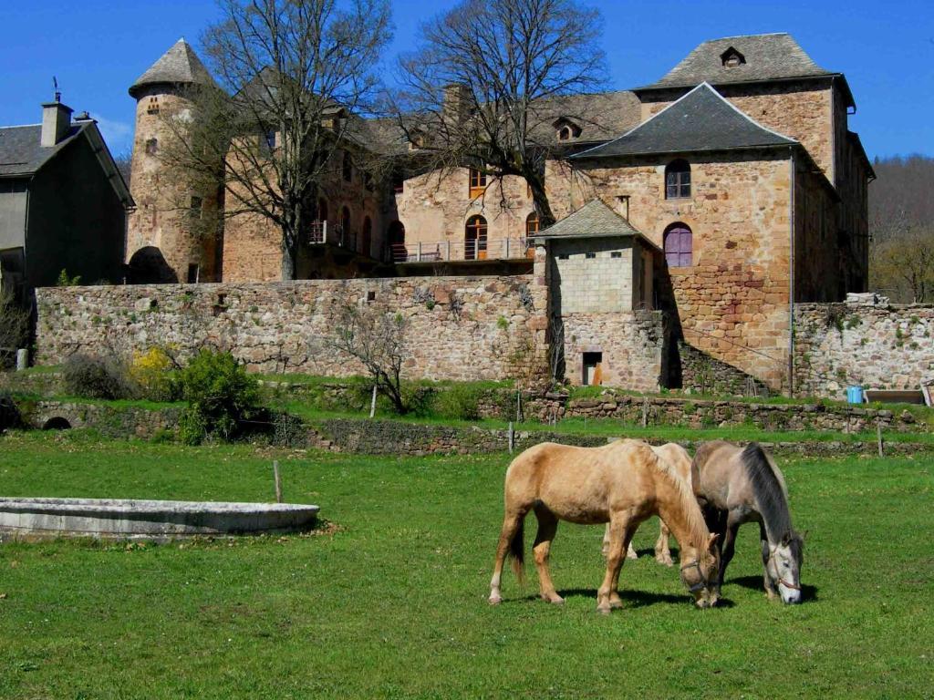 Château de Salelles Banassac Exterior foto